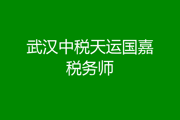 武汉中税天运国嘉税务师