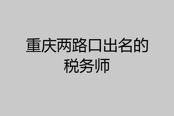 重庆两路口出名的税务师
