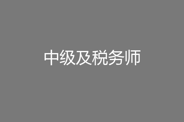 中级及税务师