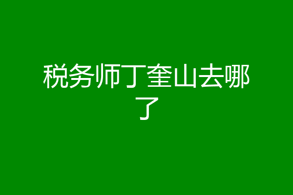 税务师丁奎山去哪了