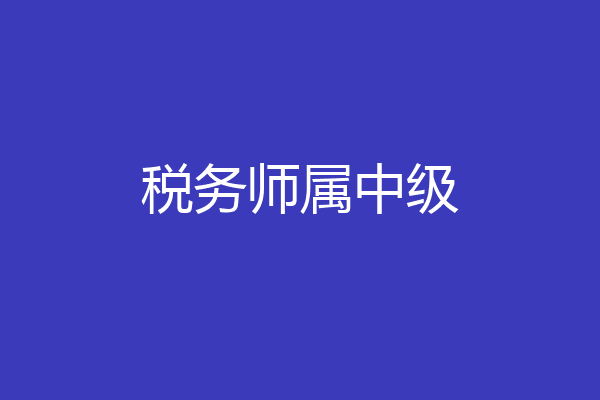 税务师属中级