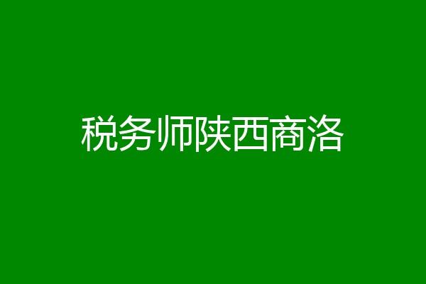 税务师陕西商洛