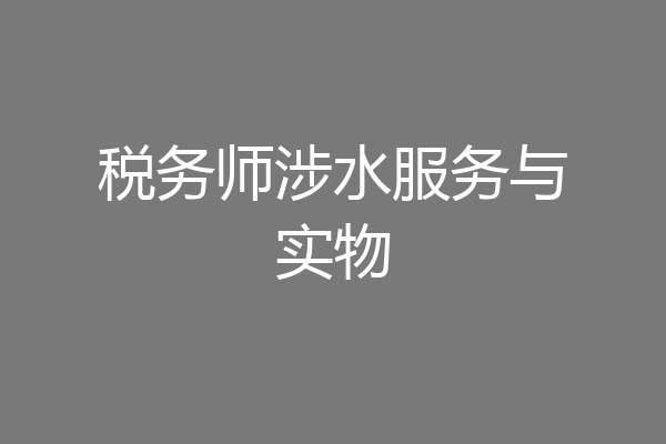 税务师涉水服务与实物