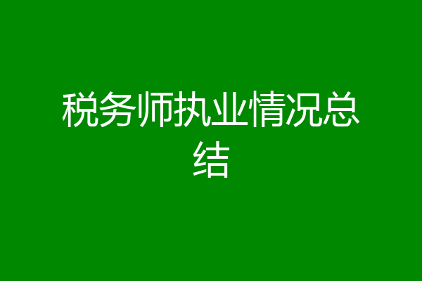 税务师执业情况总结