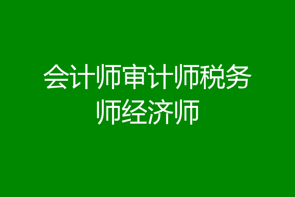会计师审计师税务师经济师