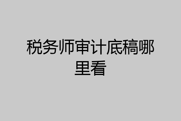 税务师审计底稿哪里看