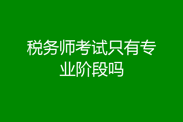 税务师考试只有专业阶段吗
