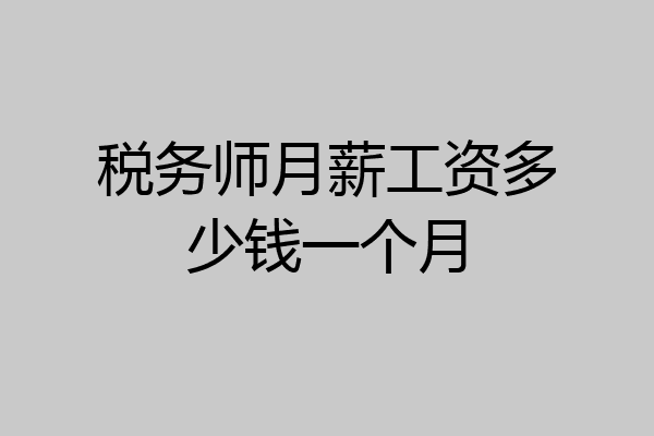 税务师月薪工资多少钱一个月