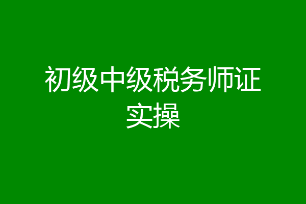 初级中级税务师证实操