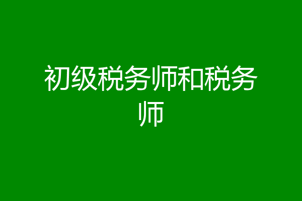初级税务师和税务师
