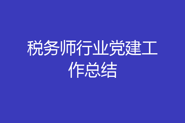 税务师行业党建工作总结