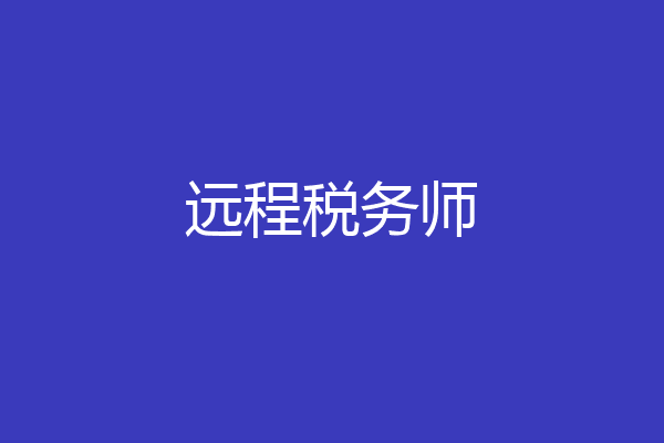 远程税务师