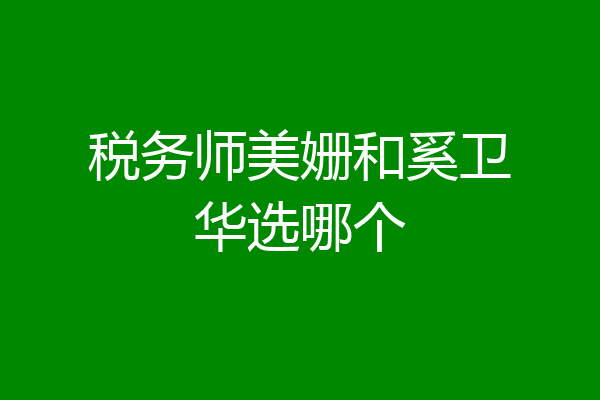 税务师美姗和奚卫华选哪个