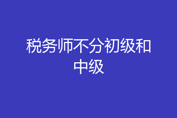 税务师不分初级和中级
