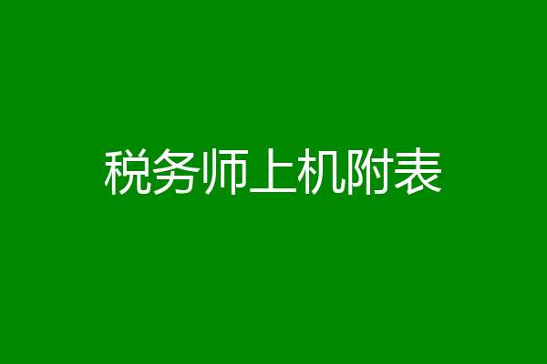 税务师上机附表