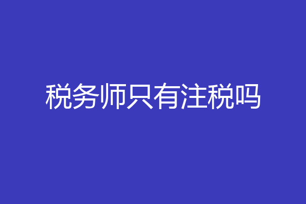 税务师只有注税吗