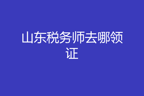 山东税务师去哪领证