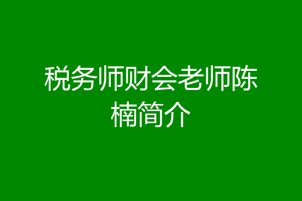 税务师财会老师陈楠简介