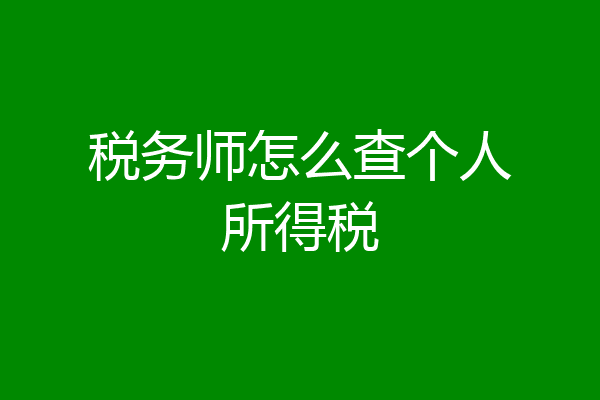 税务师怎么查个人所得税