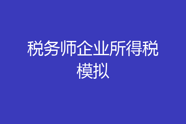 税务师企业所得税模拟