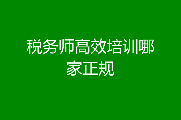 税务师高效培训哪家正规