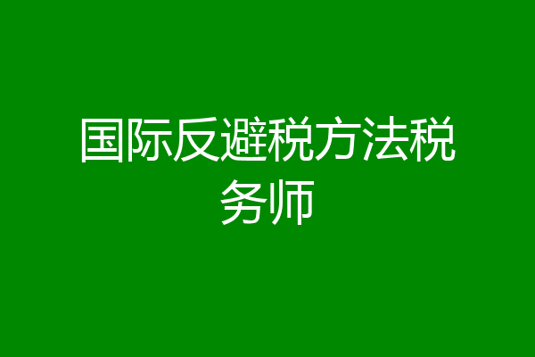 国际反避税方法税务师