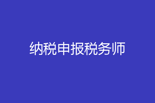 纳税申报税务师