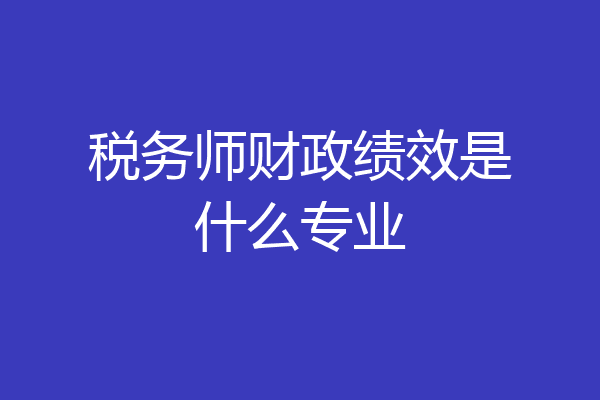 税务师财政绩效是什么专业