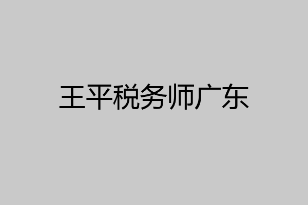 王平税务师广东