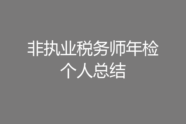 非执业税务师年检个人总结