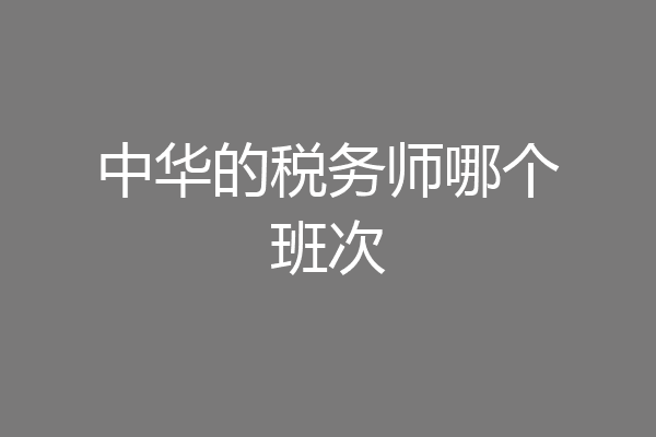 中华的税务师哪个班次