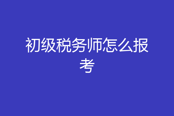 初级税务师怎么报考