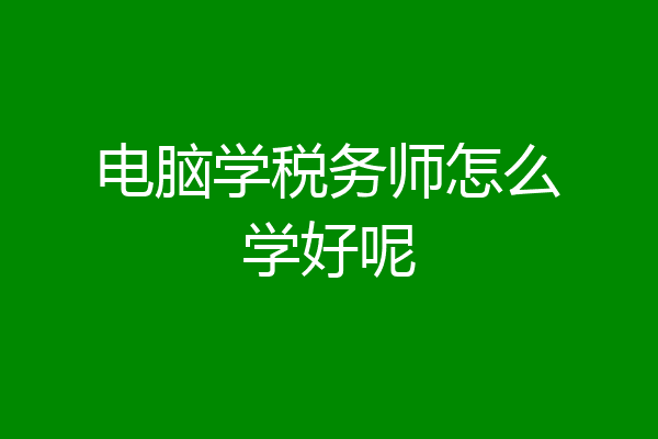 电脑学税务师怎么学好呢
