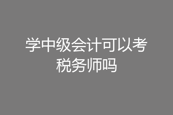 学中级会计可以考税务师吗
