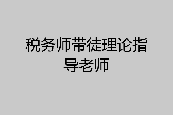 税务师带徒理论指导老师