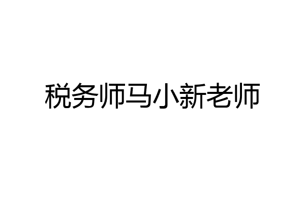 税务师马小新老师