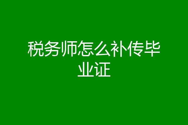 税务师怎么补传毕业证