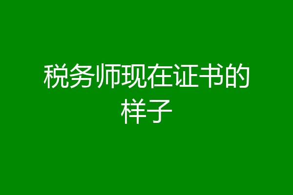 税务师现在证书的样子