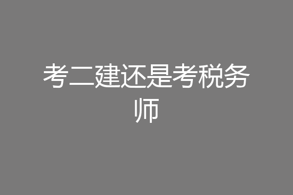 考二建还是考税务师