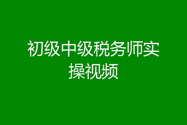 初级中级税务师实操视频