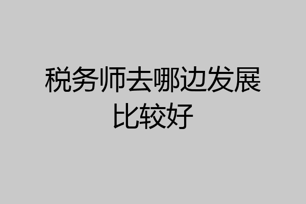 税务师去哪边发展比较好