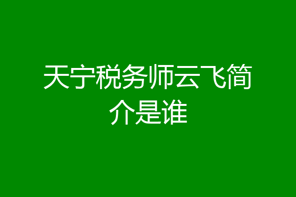 天宁税务师云飞简介是谁