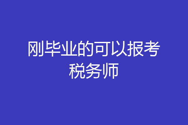 刚毕业的可以报考税务师