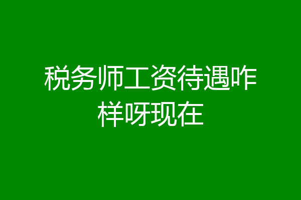 税务师工资待遇咋样呀现在
