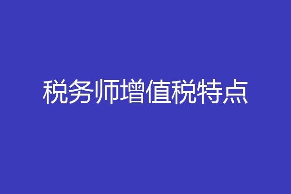 税务师增值税特点
