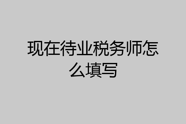 现在待业税务师怎么填写