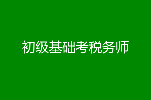 初级基础考税务师