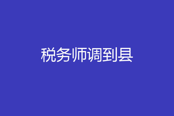 税务师调到县