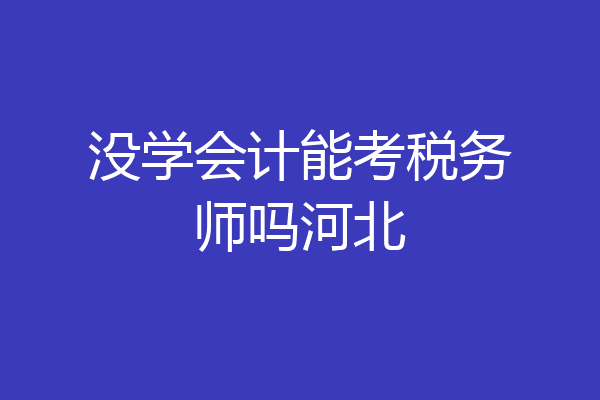 没学会计能考税务师吗河北