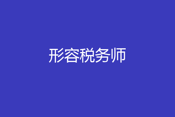 形容税务师